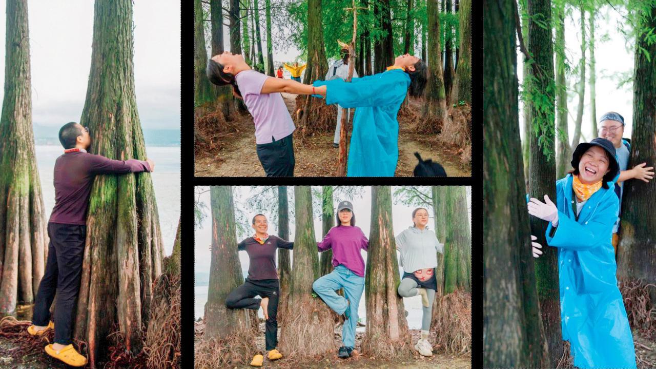 ચીનમાં વૃક્ષને ભેટવાનો ટ્રેન્ડ