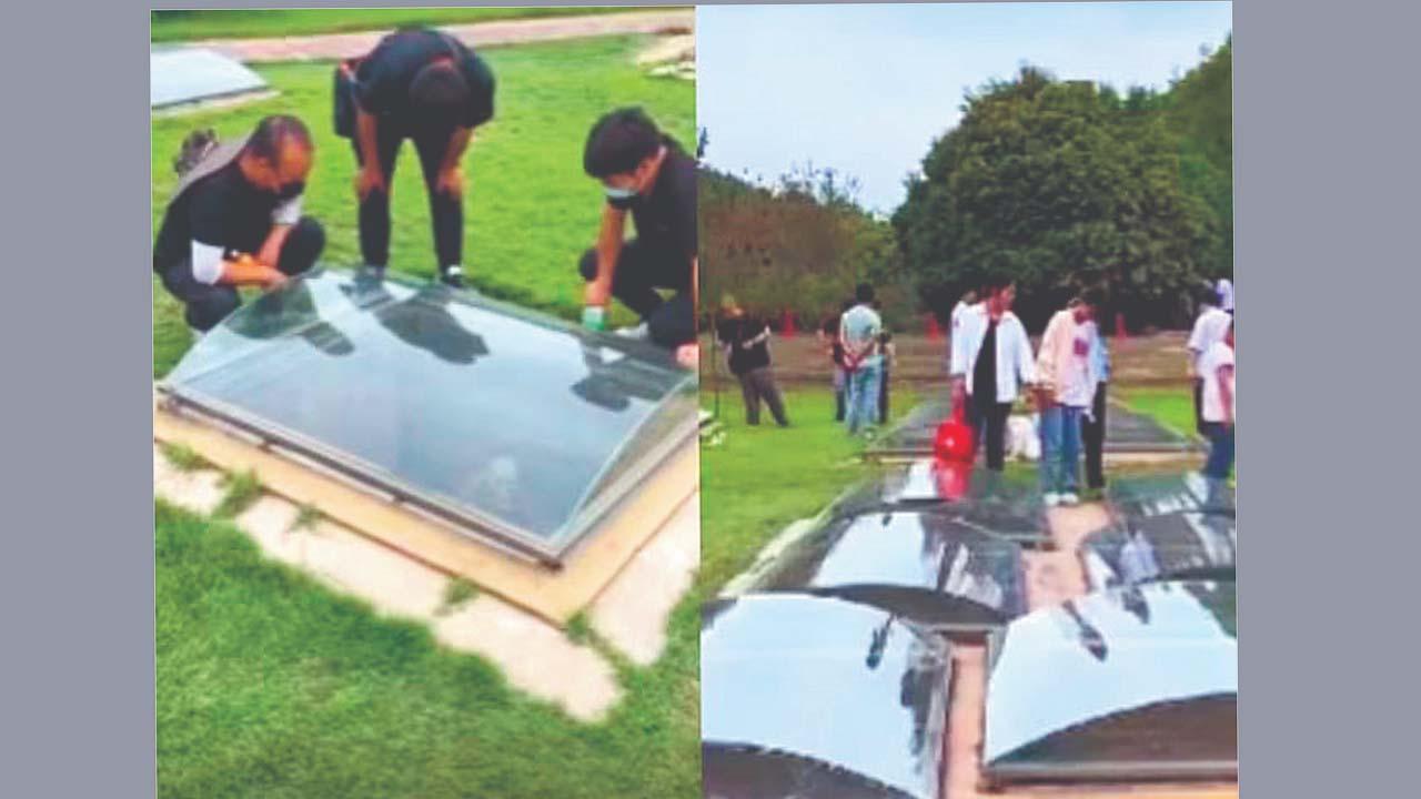 વાયરલ વીડિયોમાંથી સ્ક્રીન શૉટ