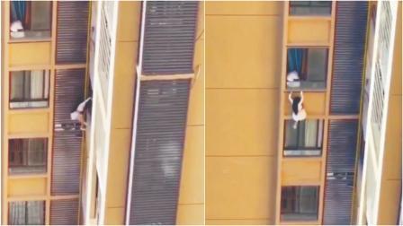 વાયરલ વીડિયોમાંથી સ્ક્રીન શૉટ