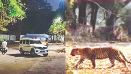 પોખરણ રોડ પર કૉસમૉસ સોસાયટીની બહાર ફૉરેસ્ટ અધિકારી અને વર્તકનગર પોલીસનો સ્ટાફ તેમ જ ત્યાં જોવા મળેલો દીપડો.