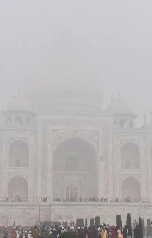 કડકડતી ટાઢ..... ધુમ્મસ પણ ગાઢ