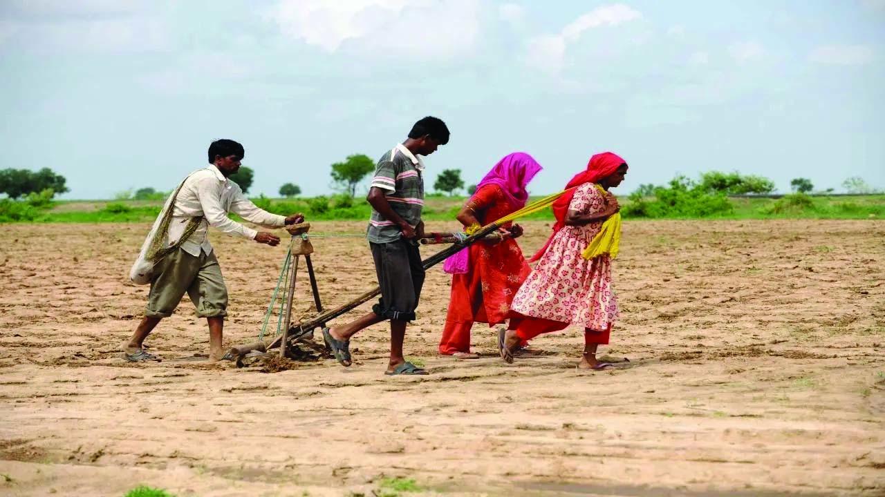 પ્રતીકાત્મક તસવીર