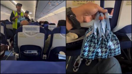 વાયરલ વીડિયોમાંથી સ્ક્રીન શૉટ (તસવીર: સોશિયલ મીડિયા)