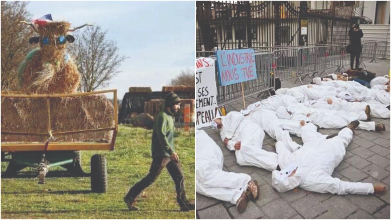 ખેડૂતોએ ગાયોની હત્યા કરવાની સરકારની નીતિ સામે વિરોધ શરૂ કર્યો છે.