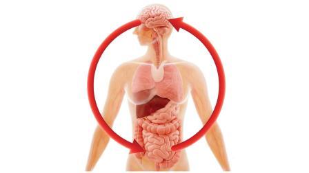 પ્રતીકાત્મક તસવીર