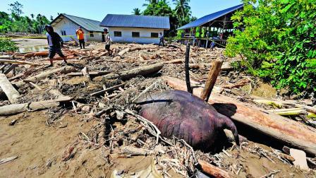 વિશાળકાય સુમાત્રન હાથી ભૂસ્ખલનના  કાદવમાં દટાઈ ગયો હતો.
