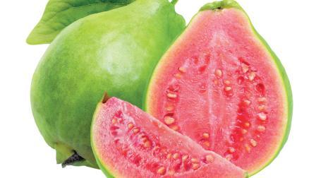 પ્રતીકાત્મક તસવીર