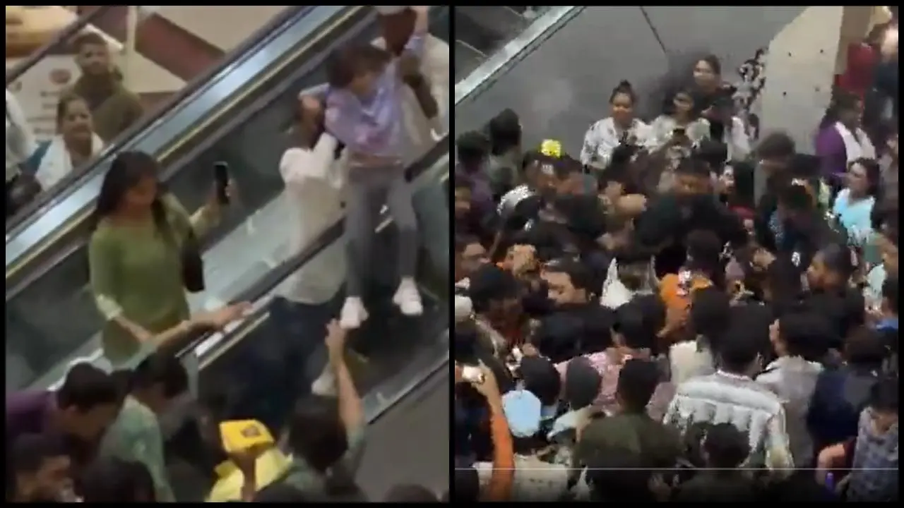 વાયરલ વીડિયોમાંથી સ્ક્રીન શૉટ (તસવીર: X)