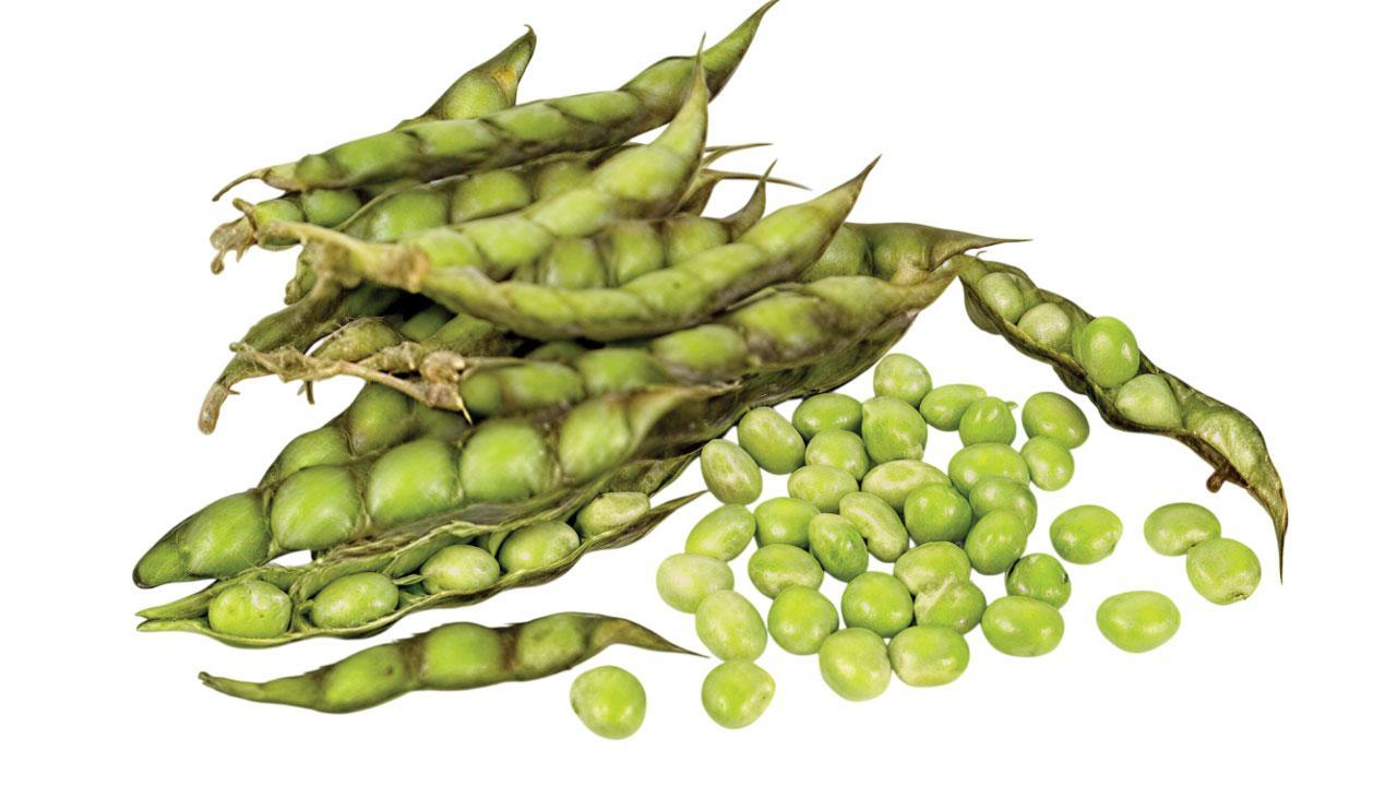 પ્રતીકાત્મક તસવીર