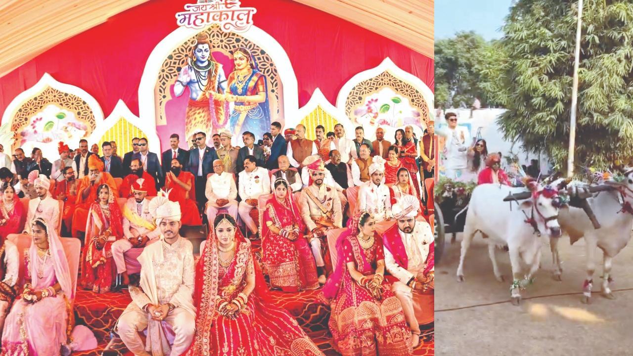 ઉજ્જૈનમાં તમામ સમૂહ વિવાહિત જોડા સાથે મધ્ય પ્રદેશના મુખ્ય પ્રધાન મોહન યાદવ અને તેમનાં પુત્ર અને પુત્રવધૂ, વરકન્યાએ લક્ઝરી વાહનને બદલે બળદગાડામાં બેસીને સંગીતસંધ્યામાં પ્રવેશ કર્યો હતો.