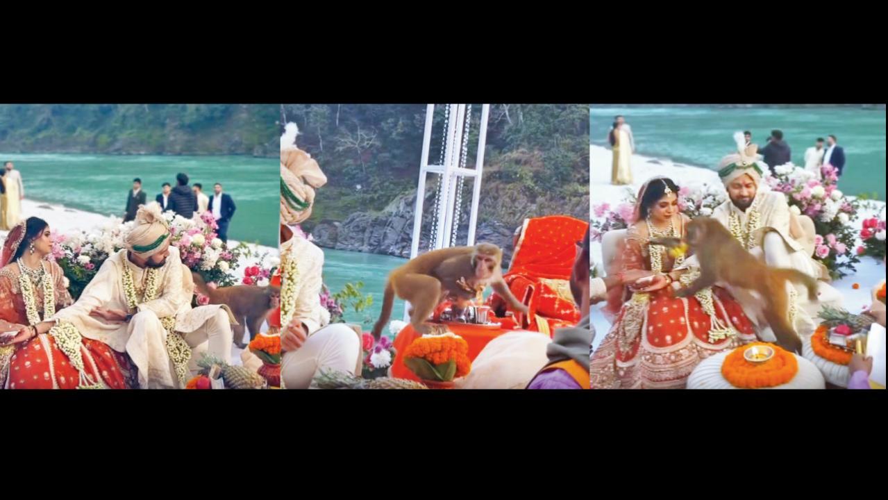 વાયરલ વીડિયોમાંથી સ્ક્રીન શૉટ (તસવીર: સોશિયલ મીડિયા)