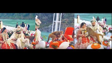 વાયરલ વીડિયોમાંથી સ્ક્રીન શૉટ (તસવીર: સોશિયલ મીડિયા)