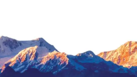 પ્રતીકાત્મક તસવીર