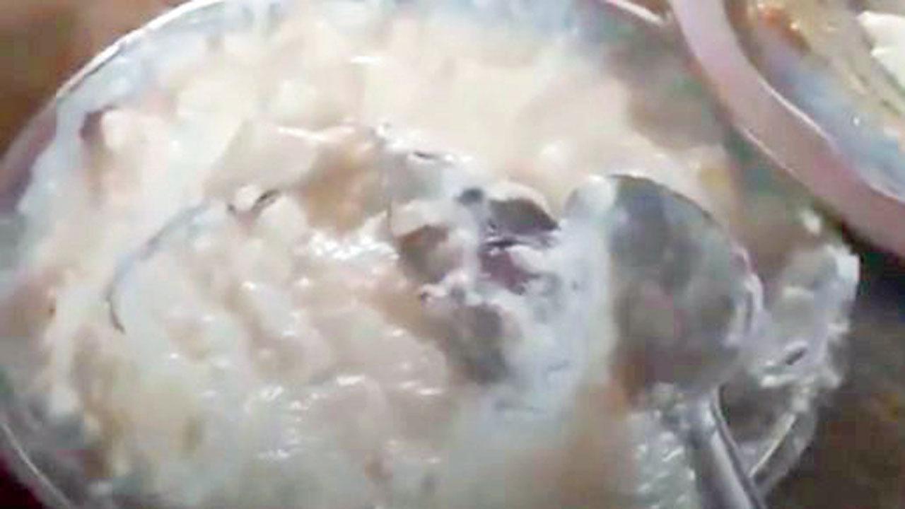 હીંમાંથી નીકળ્યો મરેલો ઉંદર