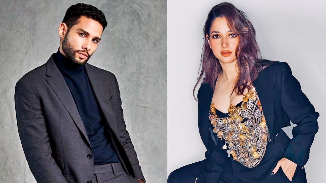 સિદ્ધાંત ચતુર્વેદી, 