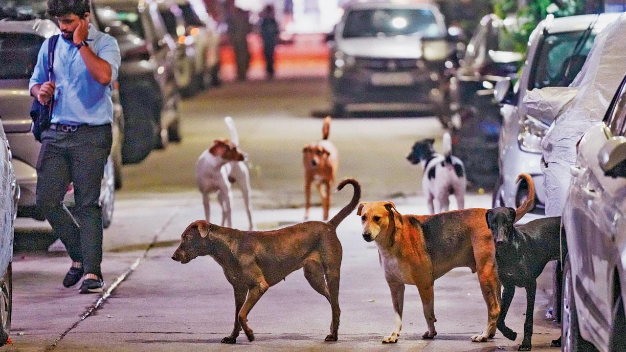 પ્રતીકાત્મક તસવીર