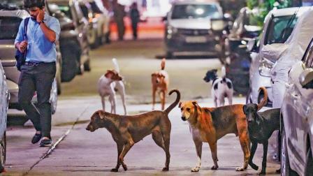 પ્રતીકાત્મક તસવીર