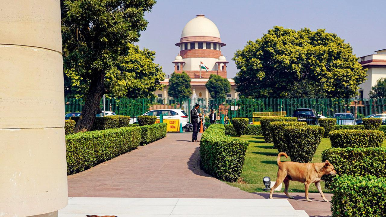 પ્રતીકાત્મક ફાઇલ તસવીર