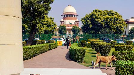 પ્રતીકાત્મક ફાઇલ તસવીર