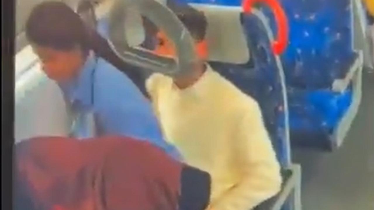 વાયરલ વીડિયોનો સ્ક્રીનગ્રૅબ (તસવીર સૌજન્ય: સોશિયલ મીડિયા) 