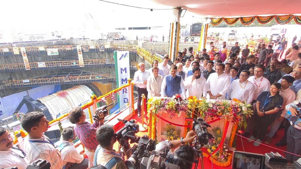 તસવીર- શાદાબ ખાન