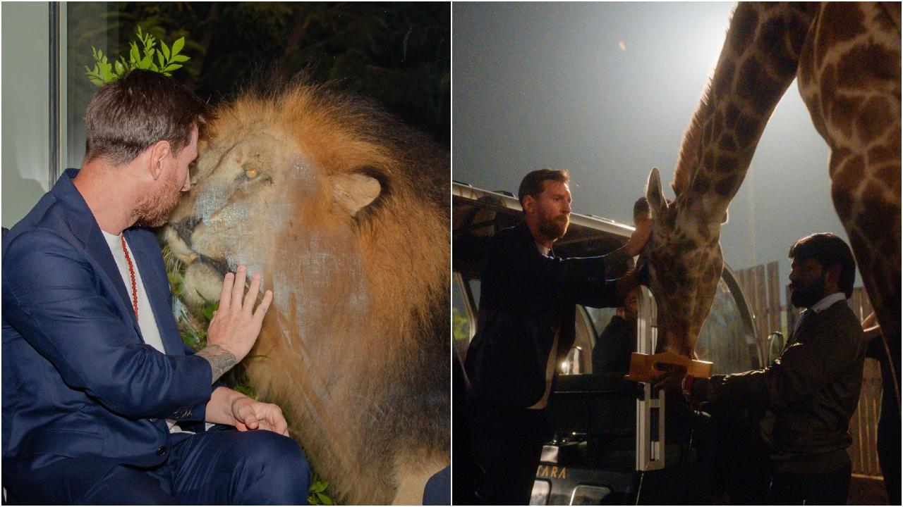 વનતારાનાં પ્રાણીઓ લીઅનલ મેસી સાથે ગેલમાં આવી ગયાં- જુઓ ફોટોઝ