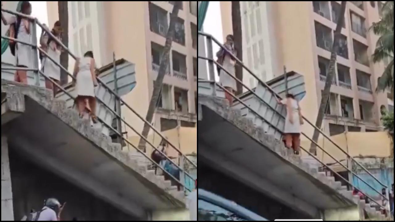 વાયરલ વીડિયોમાંથી સ્ક્રીન શૉટ (તસવીર: સોશિયલ મીડિયા)