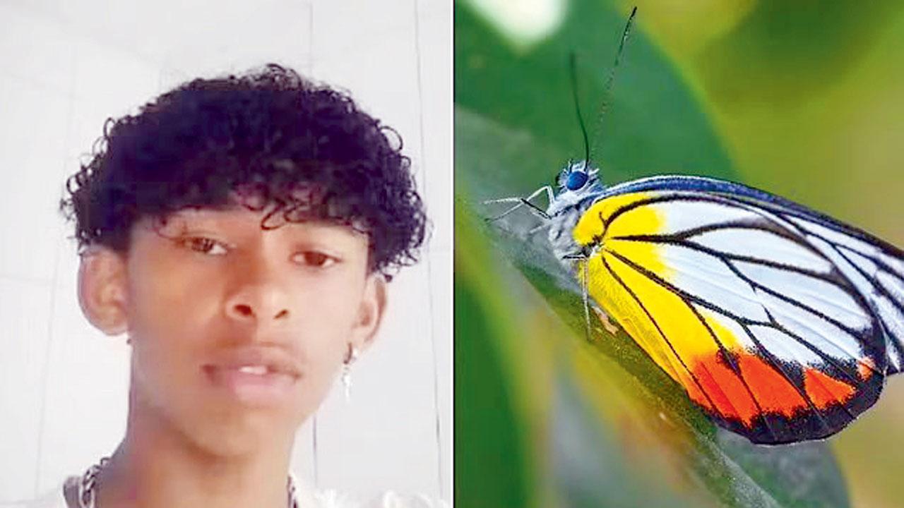 ૧૪ વર્ષના ડેવી નનેસ મોરેરા