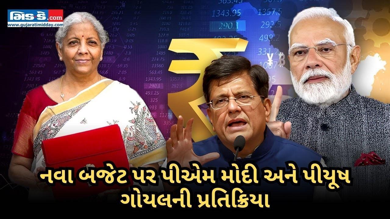 બજેટ 2025: નવા બજેટ પર પીએમ મોદી અને પીયૂષ ગોયલની પ્રતિક્રિયા