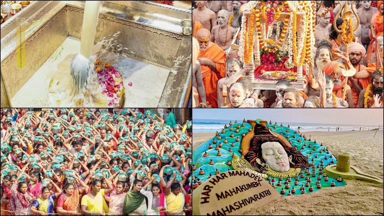 હર હર મહાદેવ : દેશભરમાં મહાશિવરાત્રીની કેવી ઉજવણી થઈ એની તસવીરી ઝલક