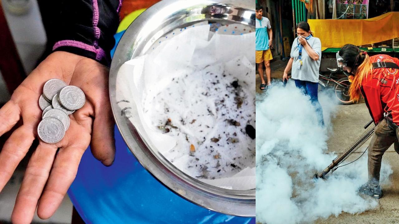 ફિલિપીન્સનાં કેટલાંક ગીચ વસ્તી ધરાવતાં ગામોમાં મચ્છરનો ‌ત્રાસ વધી ગયો