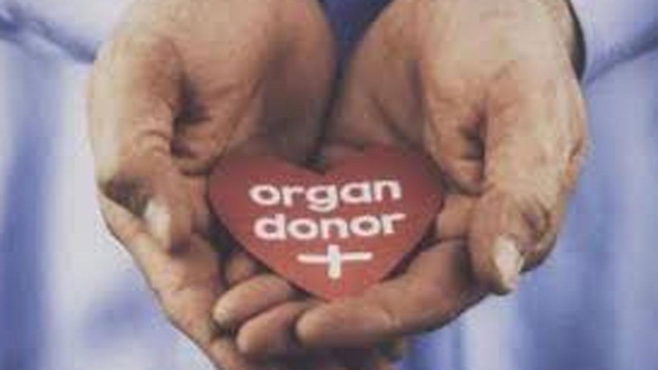 પ્રતીકાત્મક તસવીર