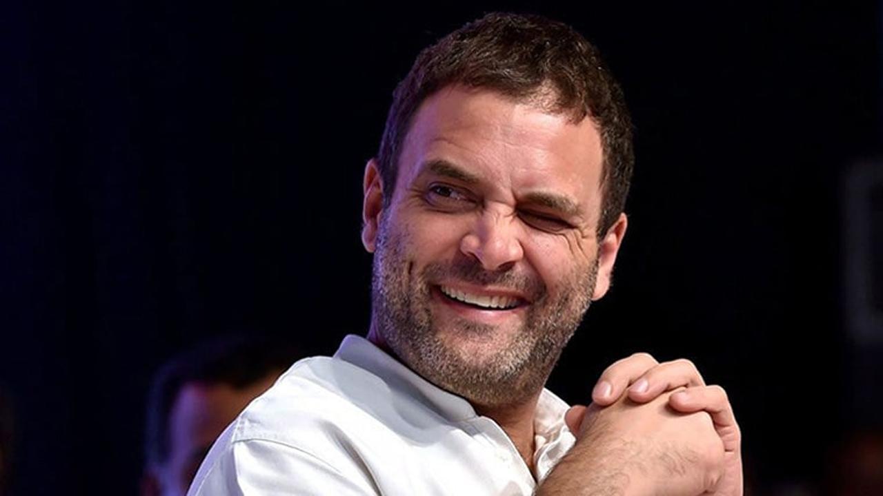 રાહુલ ગાંધી (તસવીર: સોશિયલ મીડિયા)