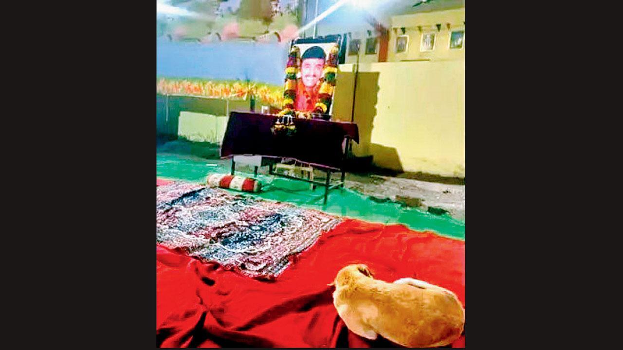 દિવંગત સરપંચ સંતોષ દેશમુખના ફોટા પાસે બેસેલો તેમનો લાડકો શ્વાન રાજુ.