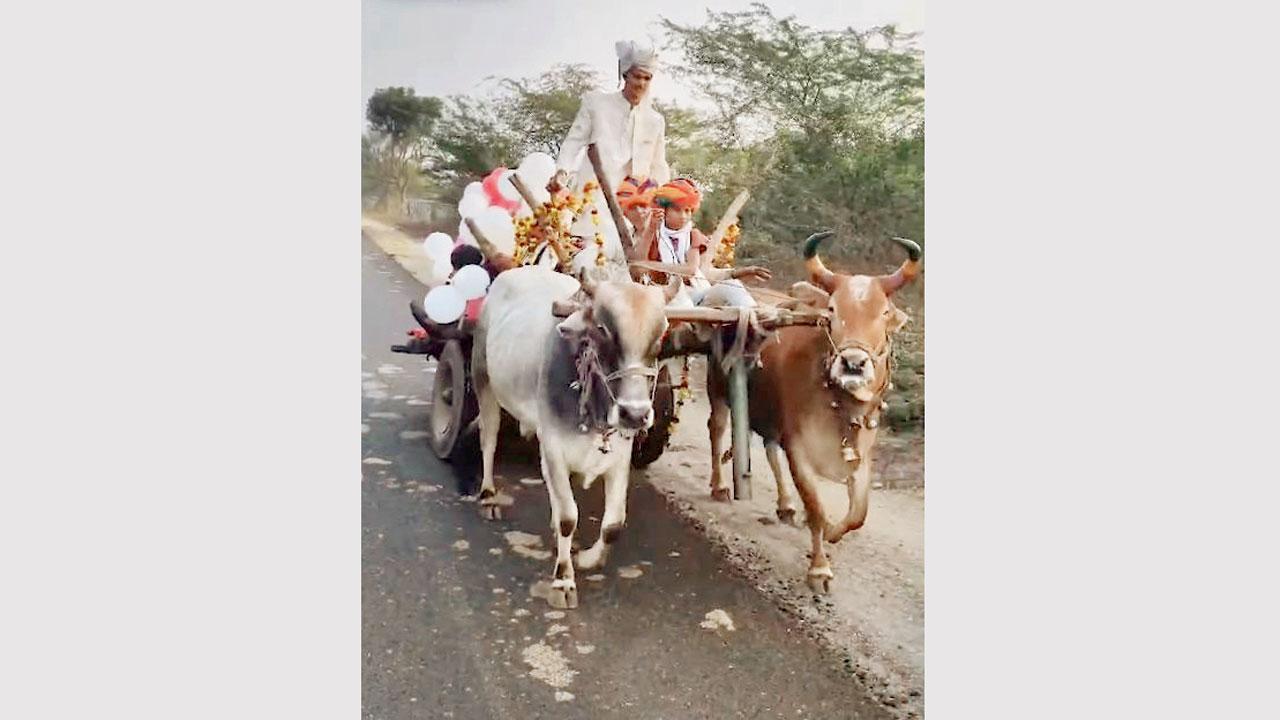 જુઓ જુઓ વરરાજાનો ઠાઠ