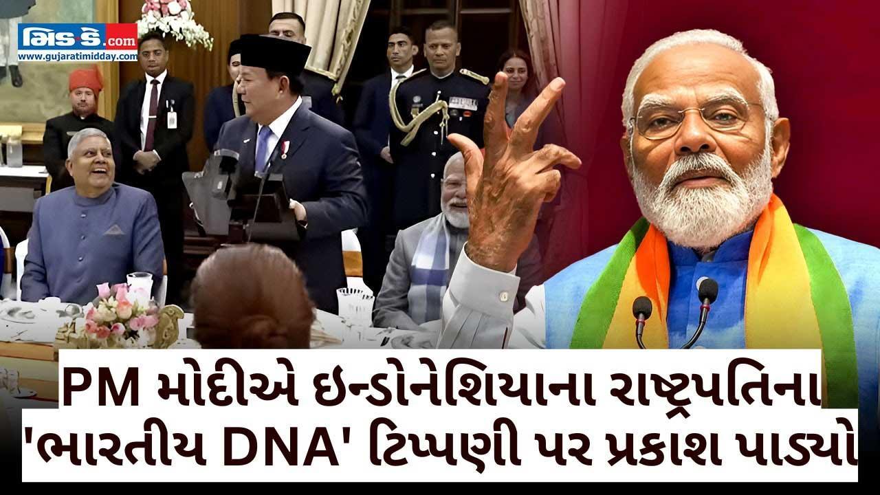  PM મોદીએ ઇન્ડોનેશિયાના રાષ્ટ્રપતિના `ભારતીય DNA` ટિપ્પણીને યાદ કરી