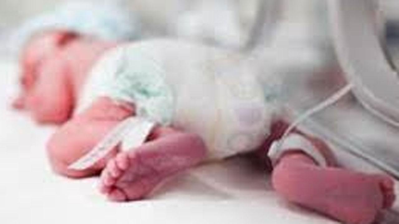 પ્રતીકાત્મક તસવીર