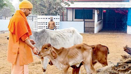 મકરસંક્રાન્તિ : દાન અને સ્નાનનો મહિમા અપરંપાર