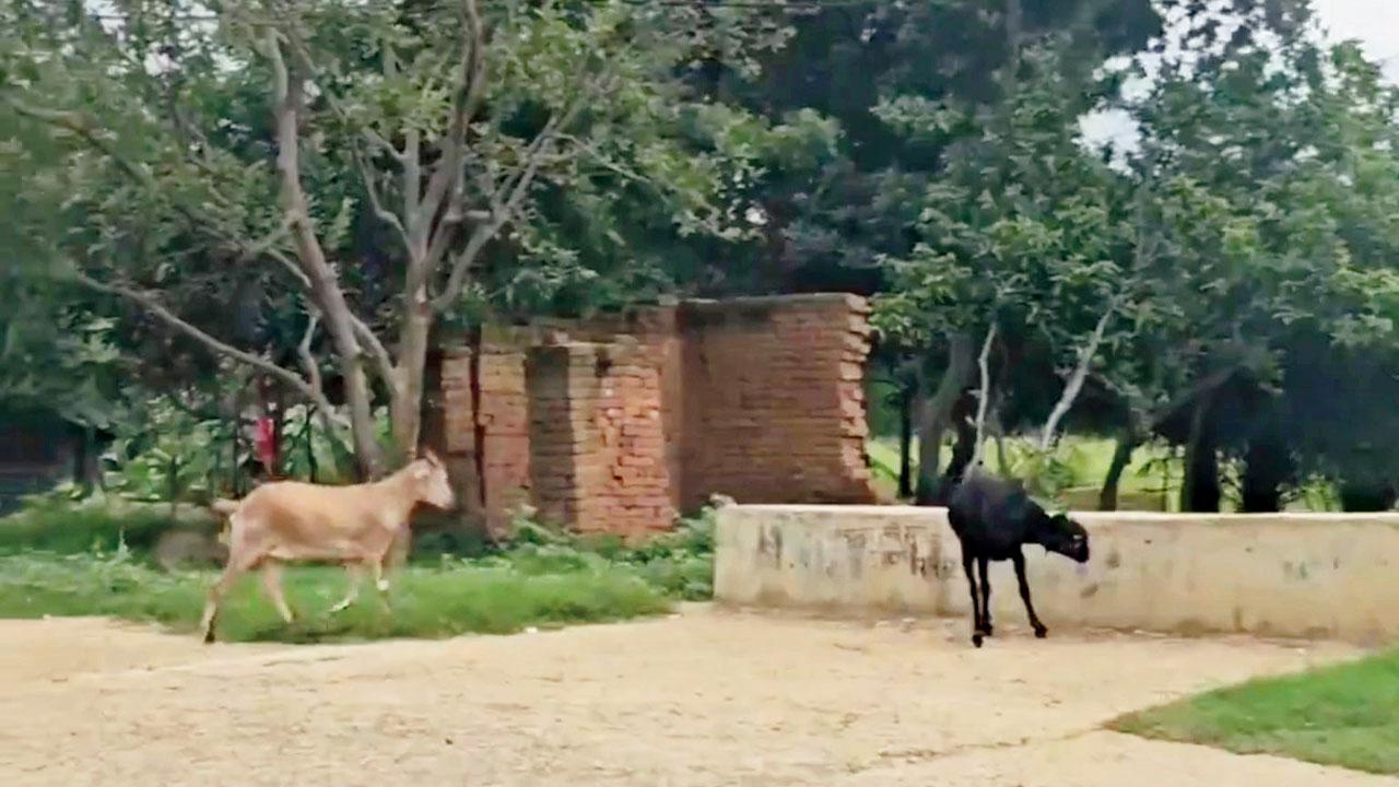 ‍ઝારખંડનું રામકોલ ગામ