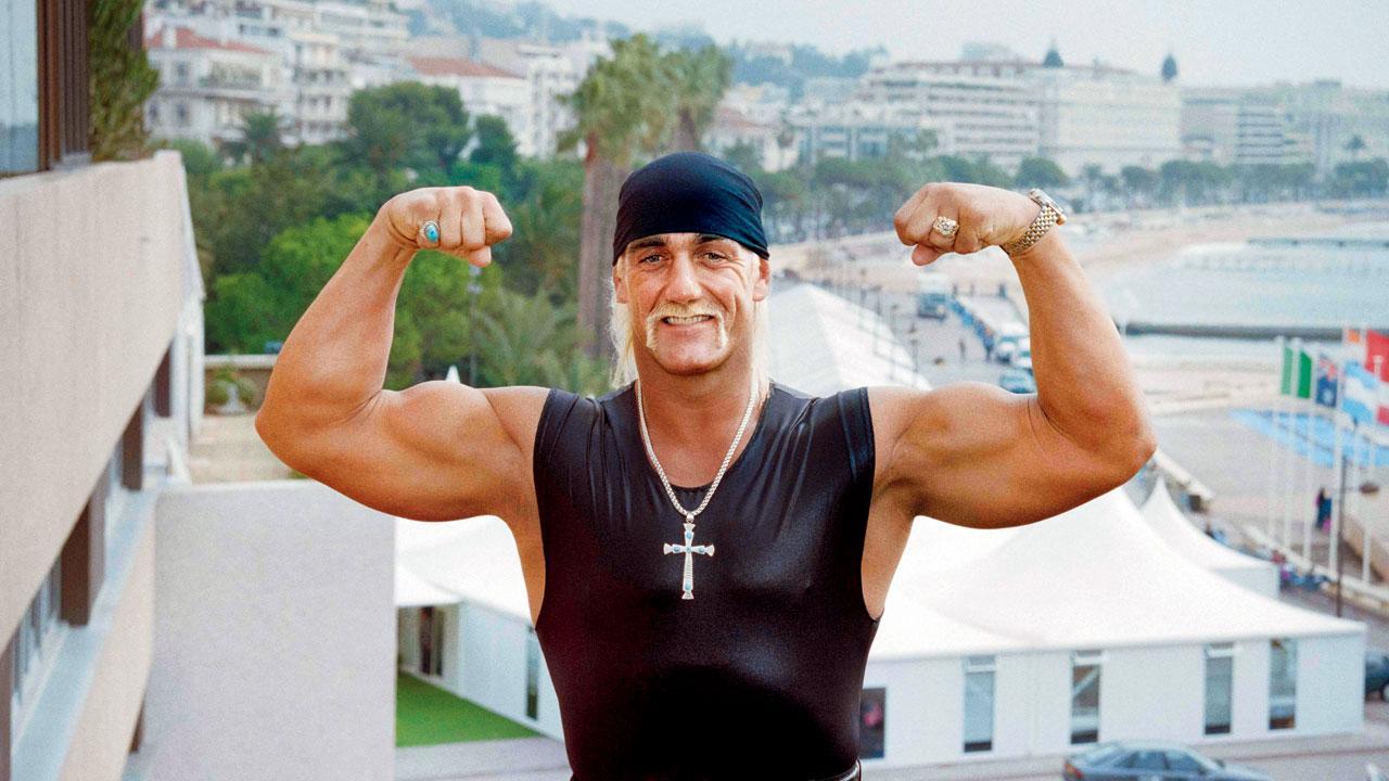 હલ્ક હૉગ