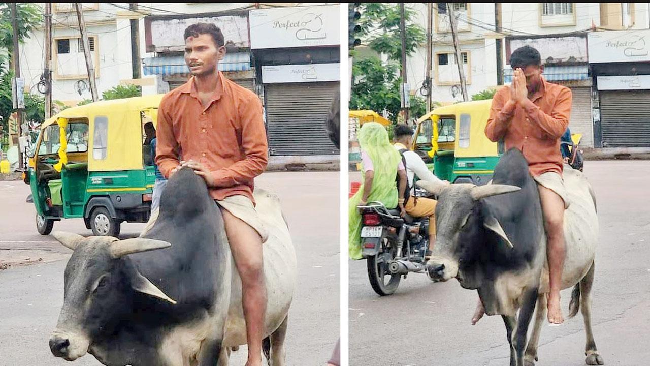 સાંઢ કી સવારી
