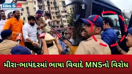 ભાષા મુદ્દે MNSનો વિરોધ પ્રદર્શન: પોલીસે કાર્યવાહી કરી