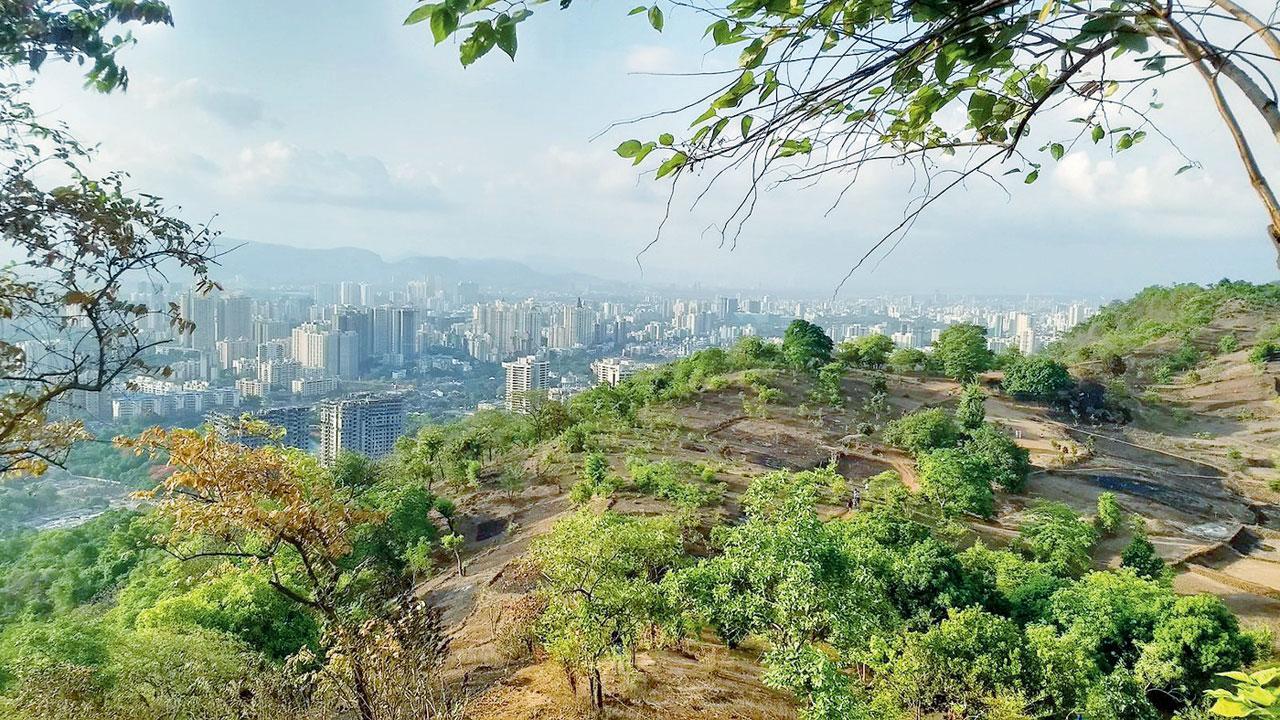 યેઉર હિલ્સ