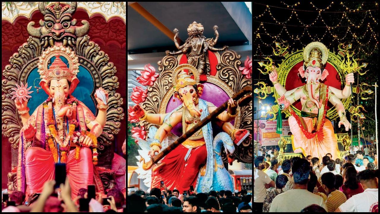 ચારકોપચા રાજા, કાંદિવલીચા શ્રી, કાર્ટર રોડચા રાજા