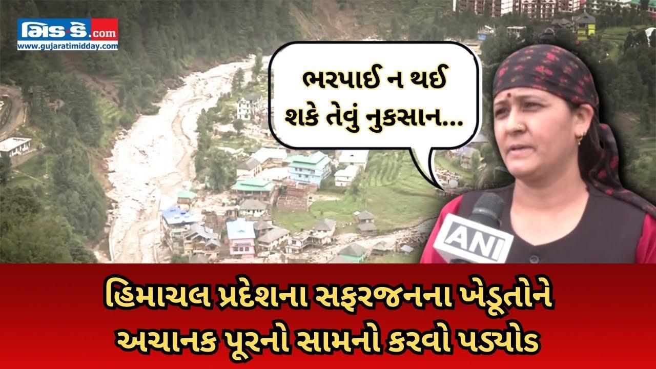 હિમાચલ પ્રદેશના સફરજનના ખેડૂતોને અચાનક પૂરનો સામનો કરવો પડ્યો