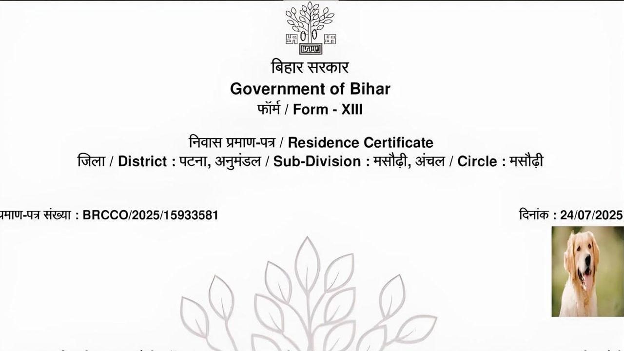 બિહારમાં બન્યું કૂતરાનું રહેઠાણ સર્ટિફિકેટ