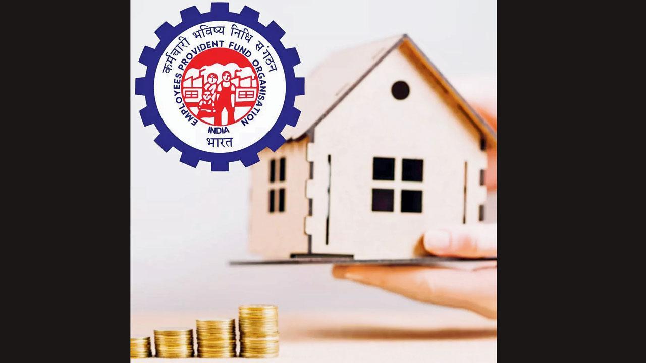પ્રતીકાત્મક તસવીર