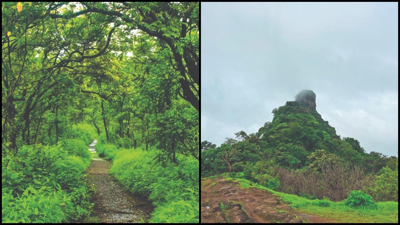 કર્નાળા બર્ડ સૅન્ક્ચ્યુઅરી
