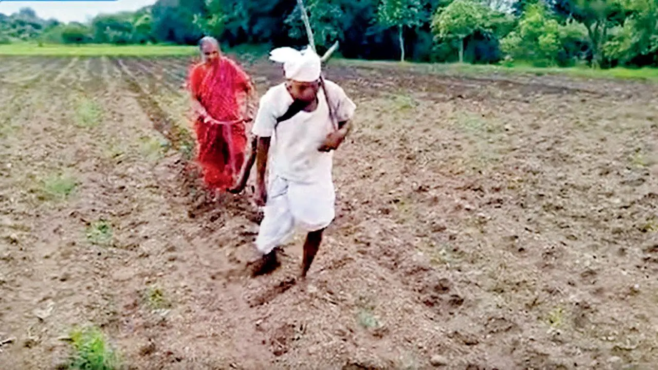 પ્રતીકાત્મક તસવીર