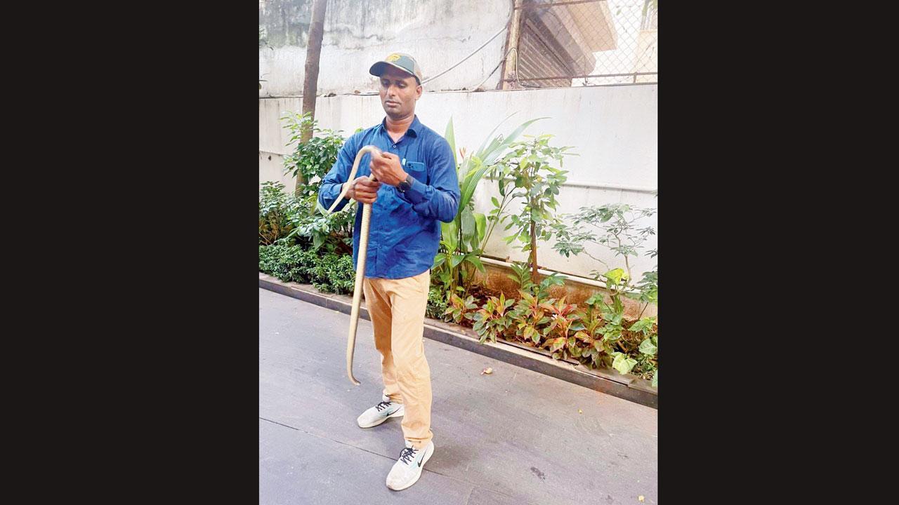 સાપ પકડનારા સર્પમિત્ર